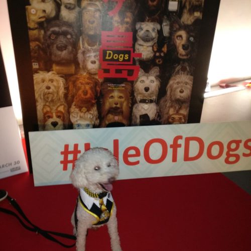 Noodle at the premiere of Isle of Dogs