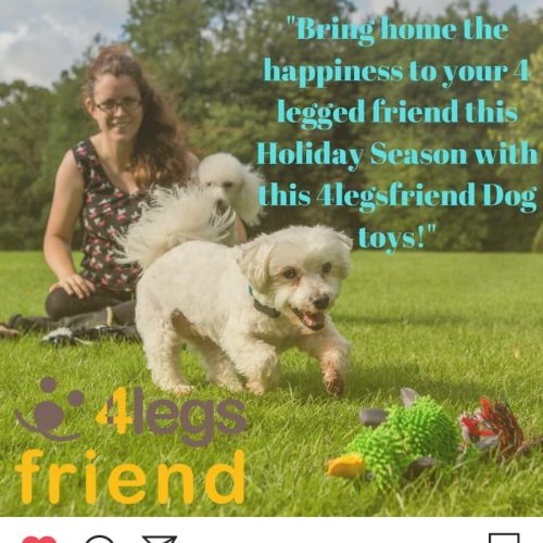 4Legs Friend Online Ad